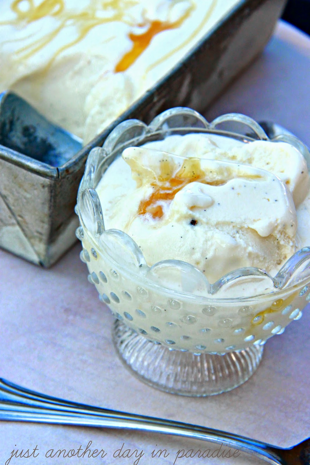 Larissa Another Day: Honey Vanilla Frozen Yogurt