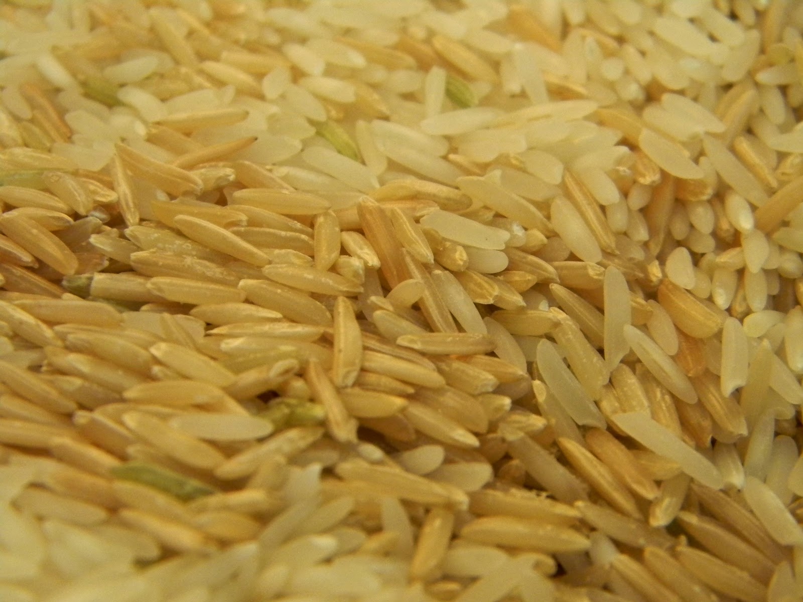 Brown Rice Cream What Smells So Good?