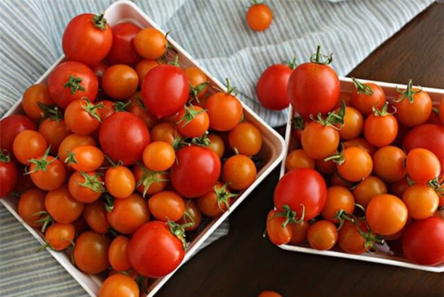 preserve-fresh-tomatoes