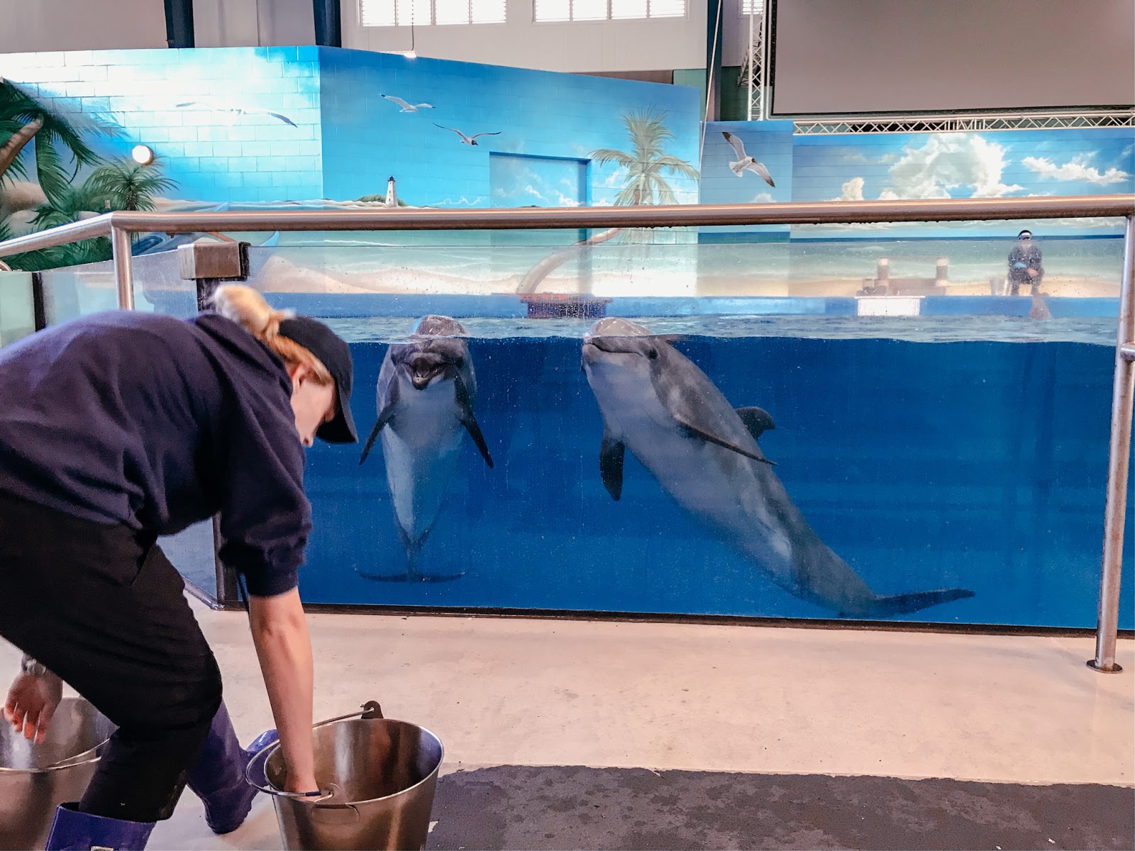 family-fun-at-ocean-adventures-marine-park-things-to-do-in-gulfport