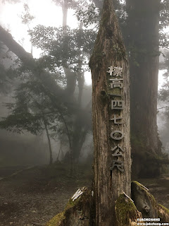 神木園標高1470公尺