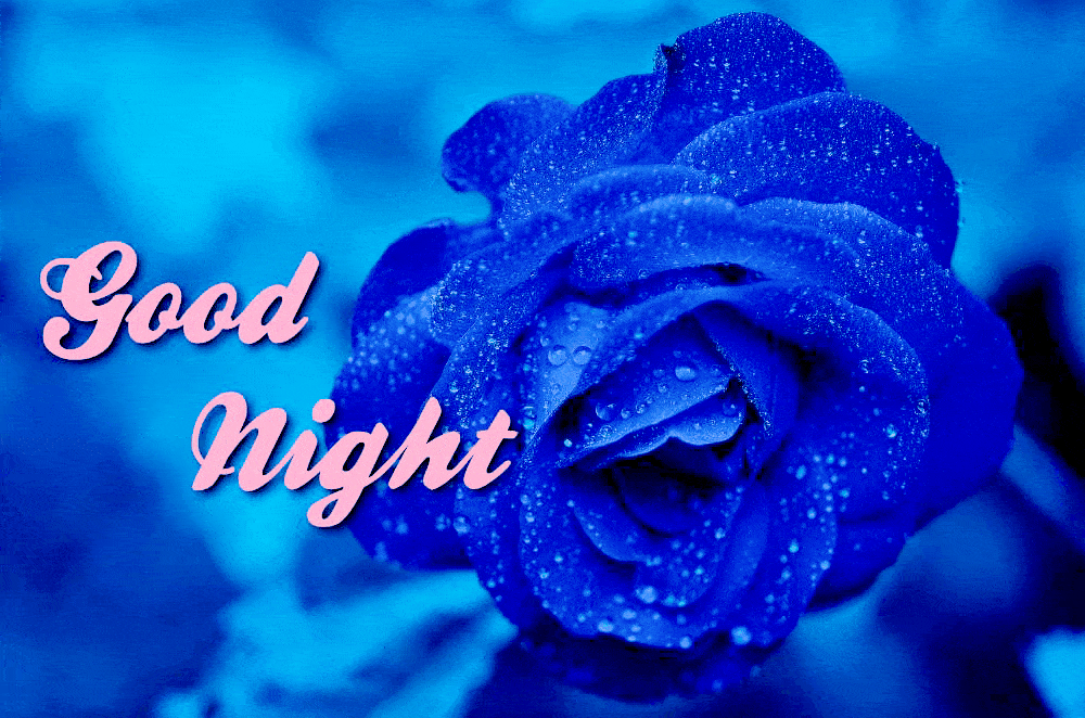 Good night gif Free good night gif download Hindi Shayari Quotes jpg (1000x662)