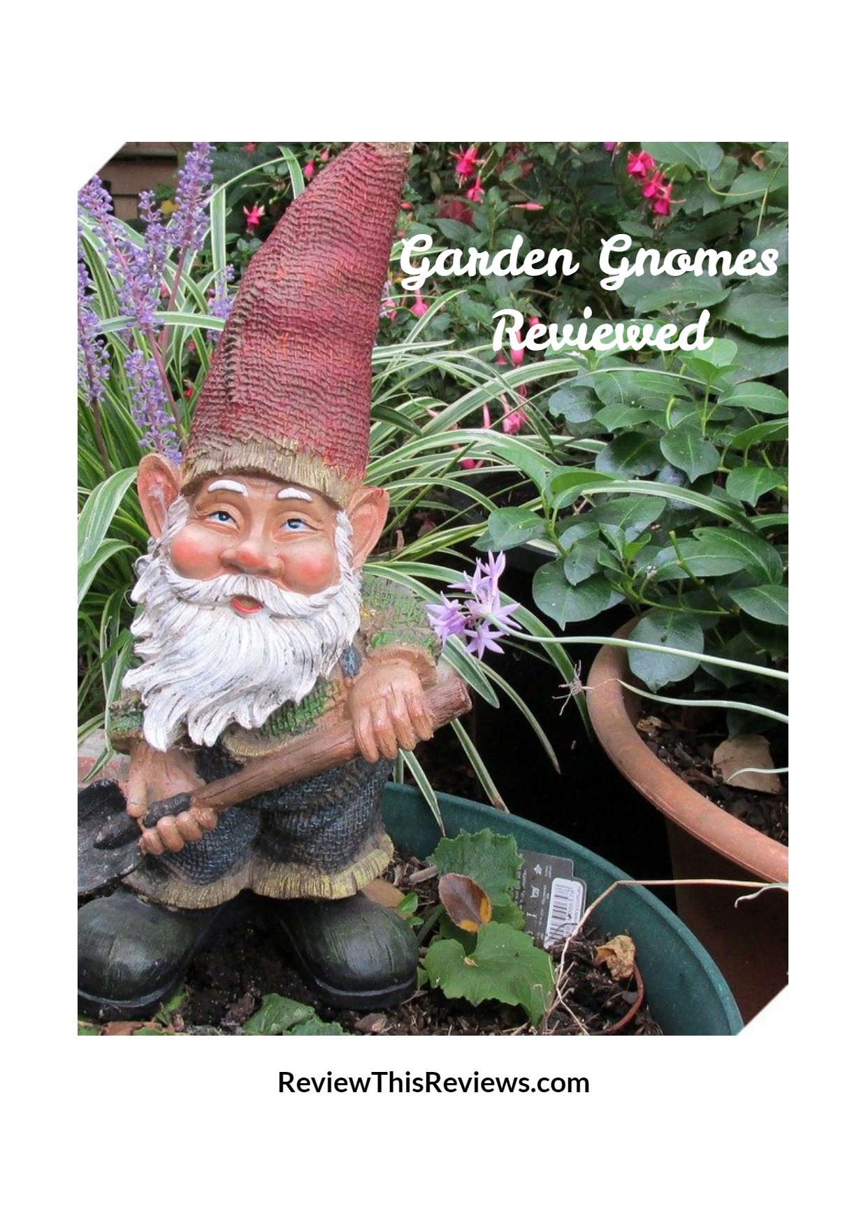 Garden Gnomes Reviewed