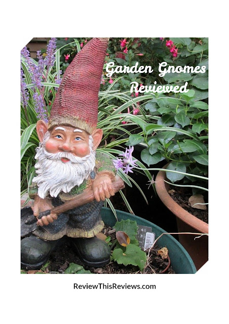 A Garden Gnome