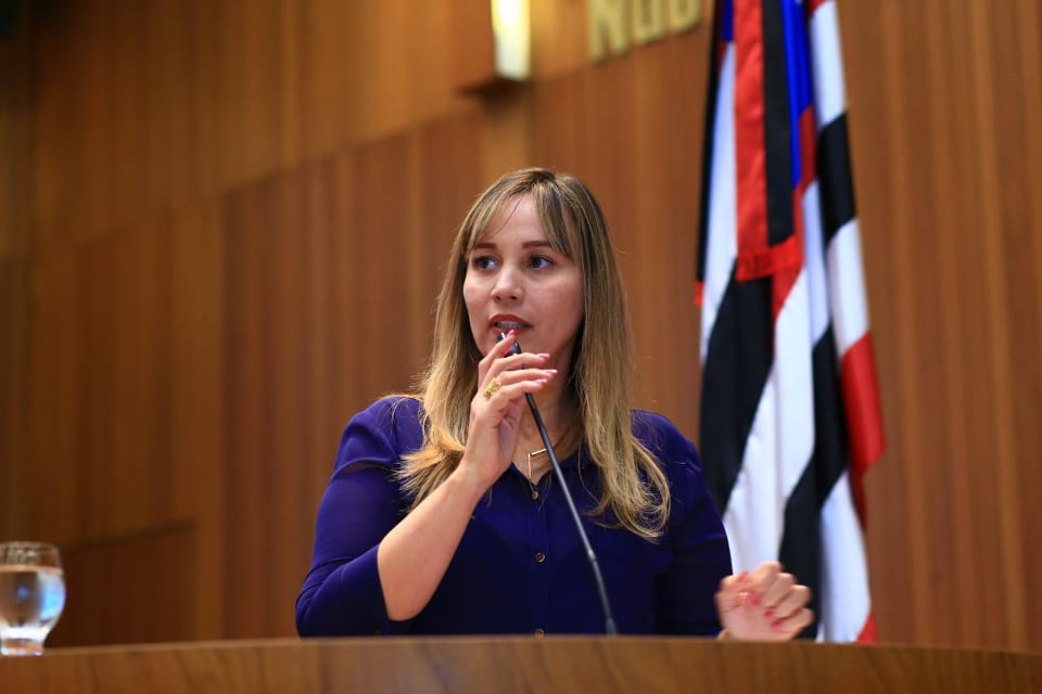 Deputada estadual Detinha requer ampla reforma em prédio do Viva ...