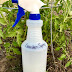 All Natural Garden Spray for Aphids