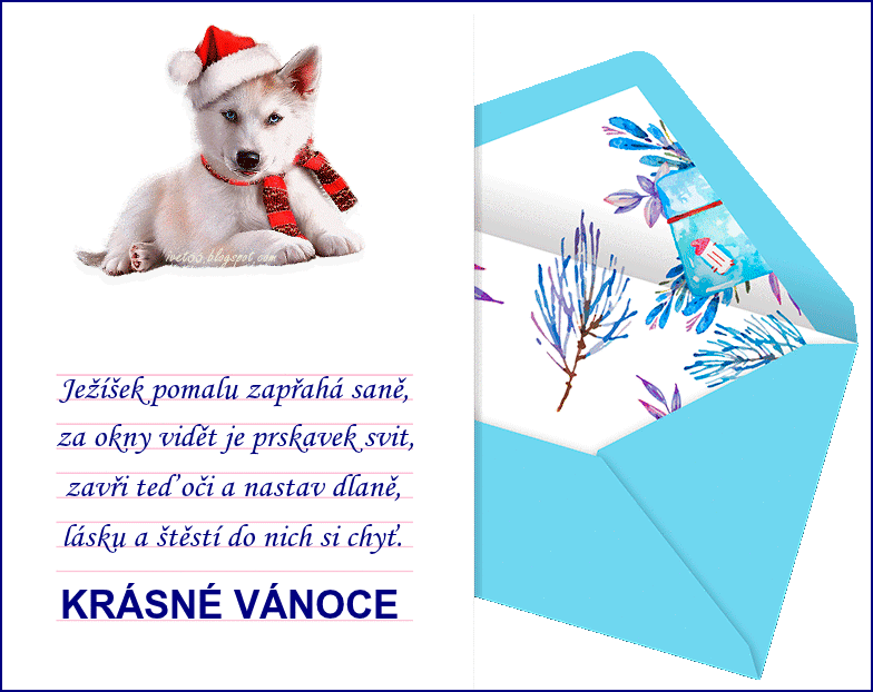 prani%2Bv%20%20%20%20%20%20%20