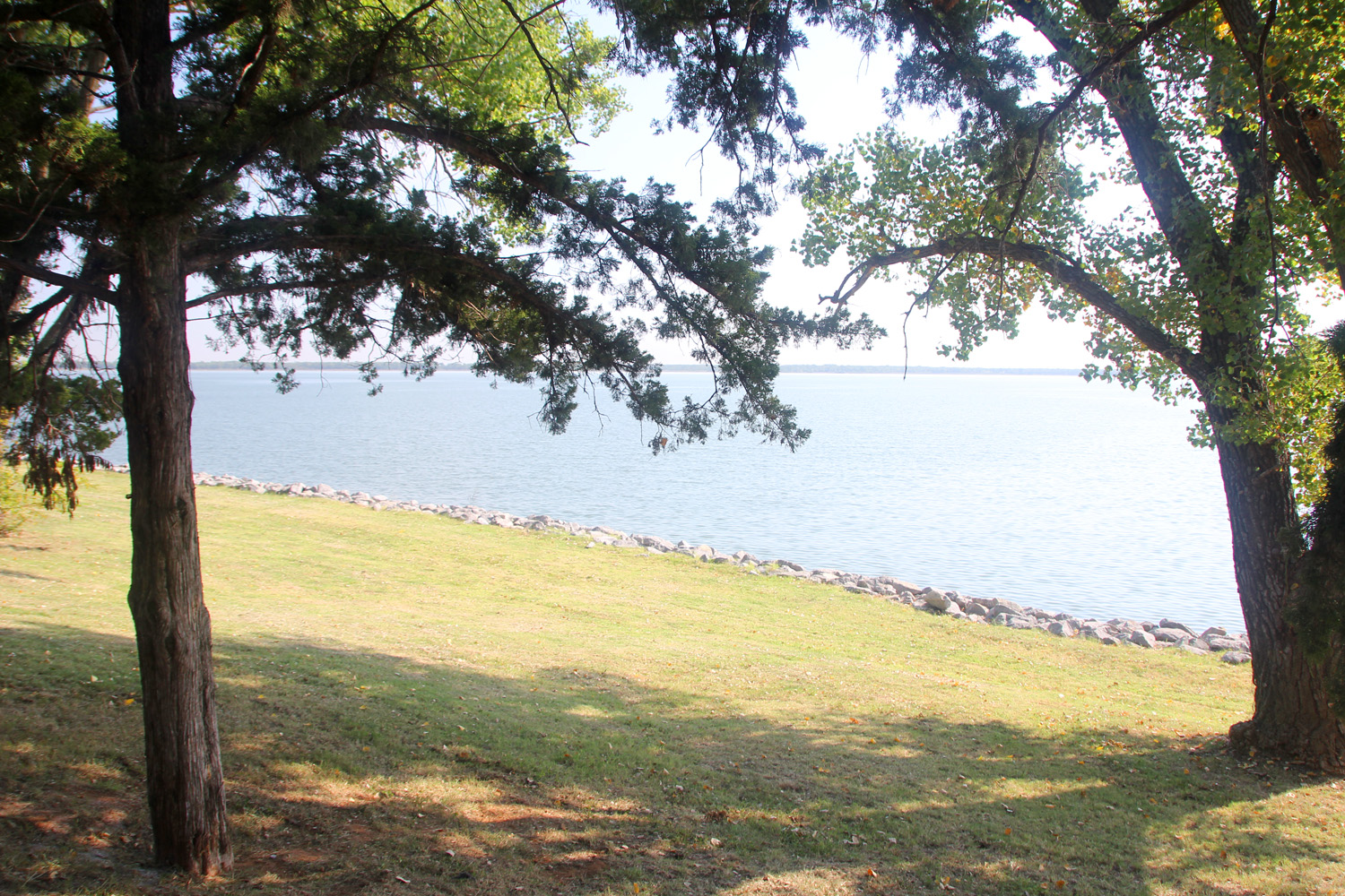 Log of Ibi Big Bend Camping