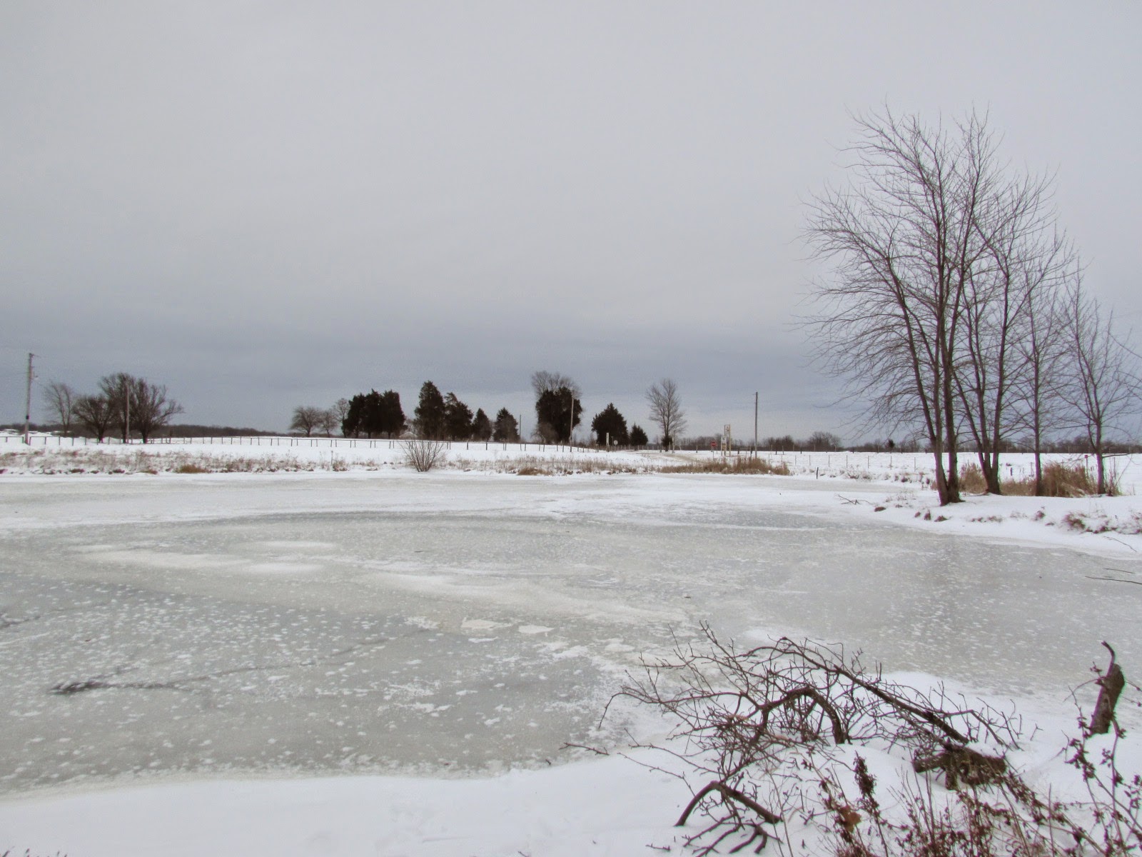 Murray & Candace's Adventures: Frozen Pond...