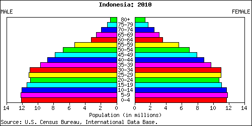 Komposisi Penduduk dan Demografi Indonesia
