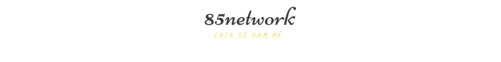 85network-share logo
