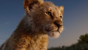 Simba The Lion King Pictures and Wallpapers 2019