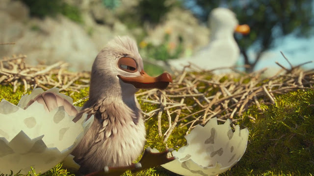 Pajaritos A Volar (2019)