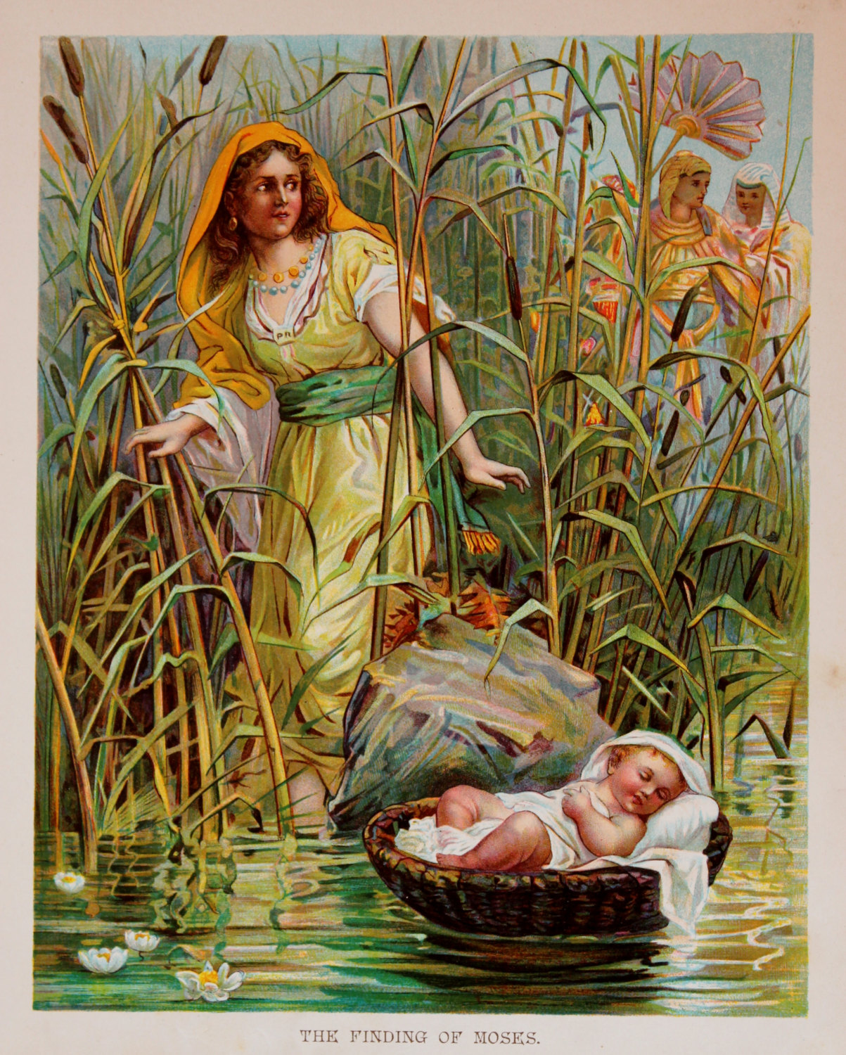 Birds of the Heath Moses in the Reed Mace?