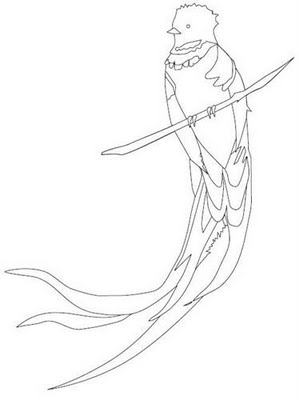 COLOREA TUS DIBUJOS: Dubujo de Quetzal
