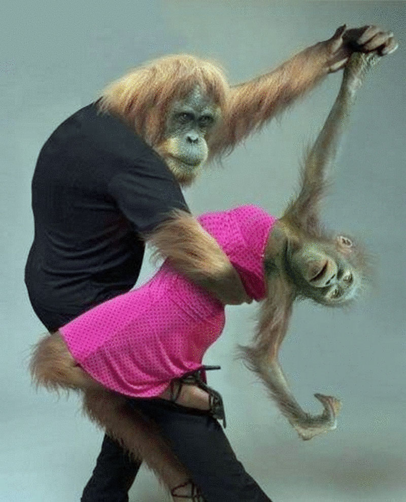 Lustiges Bild - Mann und Frau als Affen beim tanzen