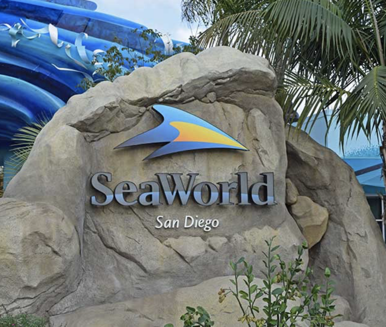 SanDiegoVille SeaWorld San Diego Cleared To Reopen Under Zoo Exemption