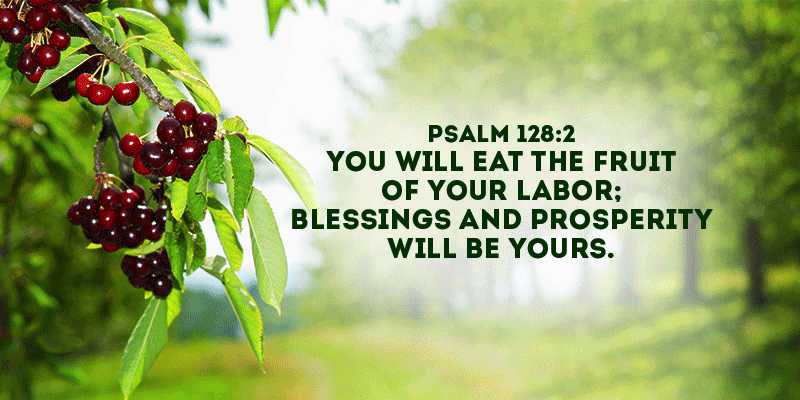 Buffet Of Blessings Today s Word Psalm 128 2 buffet-of-blessings-today-s-word-psalm-128-2