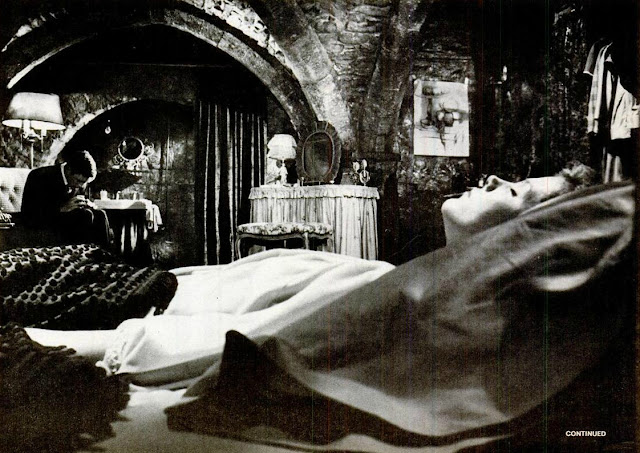 What is a dissertation picture