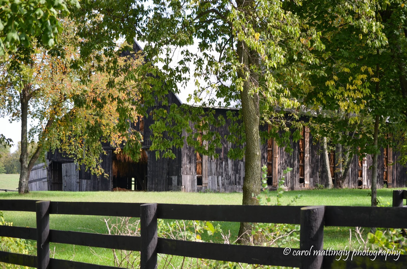Carol Mattingly Photography Barns Of Kentucky