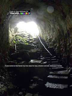 Travel Boldly Galapagos Island - This lava tunnel on Isla Santa Cruz has steps for easy entrance and exit.