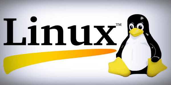 ما هو لينكس Linux؟ وكيف تتعلمه حتى الاحتراف؟