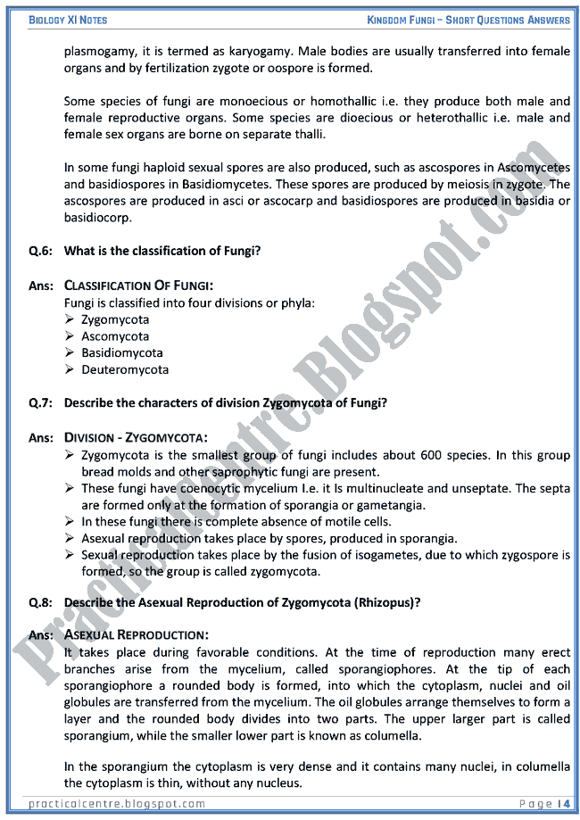 Kingdom Fungi - Short Questions Answers - Biology XI