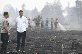 Jokowi Akui Pemerintah Lalai Tangani Kebakaran Hutan dan Lahan