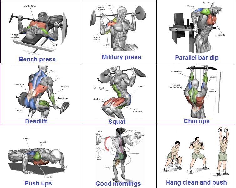 Fitness The Best Workouts For Muscle Gain Fitness Tips Lovers fitness-the-best-workouts-for-muscle-gain-fitness-tips-lovers