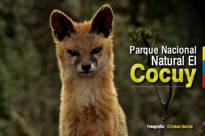  Viaja al Parque Nacional Natural El Cocuy "Las reservas del Tame"