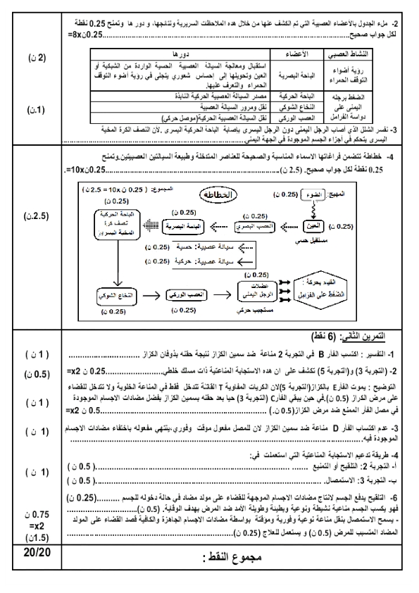 نماذج جديدة للإمتحان الجهوي لمادة علوم الحياة و الأرض 2014 %25D8%25A7%25D9%2584%25D8%25A7%25D9%2585%25D8%25AA%25D8%25AD%25D8%25A7%25D9%2586%2B%25D8%25A7%25D9%2584%25D8%25AC%25D9%2587%25D9%2588%25D9%258A%2B%25D8%25B9%25D9%2584%25D9%2588%25D9%2585%2B%25D8%25A7%25D9%2584%25D8%25AD%25D9%258A%25D8%25A7%25D8%25A9%2B%25D9%2588%2B%25D8%25A7%25D9%2584%25D8%25A3%25D8%25B1%25D8%25B6%2B%25D8%25AC%25D9%2587%25D8%25A9%2B%25D8%25B7%25D9%2586%25D8%25AC%25D8%25A9%2B2014%2B%25281%2529_006