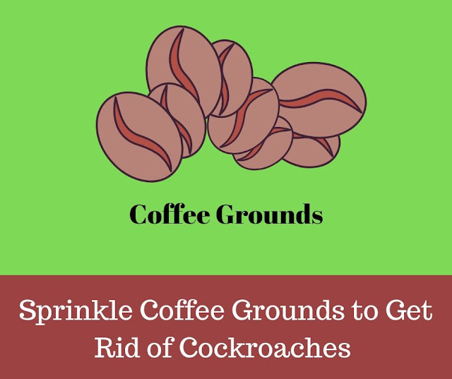 Sprinkle Coffee Grounds to get rid of Cockroaches how to get rid of roaches overnight with Coffee Grounds