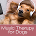 The Role Music Can Play In Your Dog's Health, Wellness and Happiness