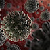 One out of Four Coronavirus Carriers Could Be Asymptomatic