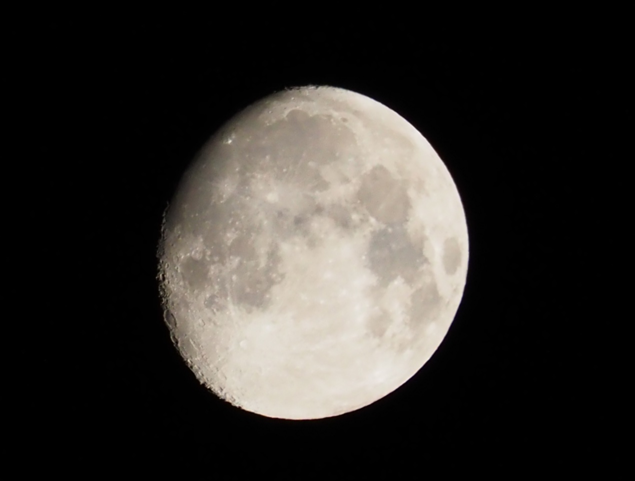 Photoinvestigacionchema Luna llena Florida. Plenilunio del mes de mayo.