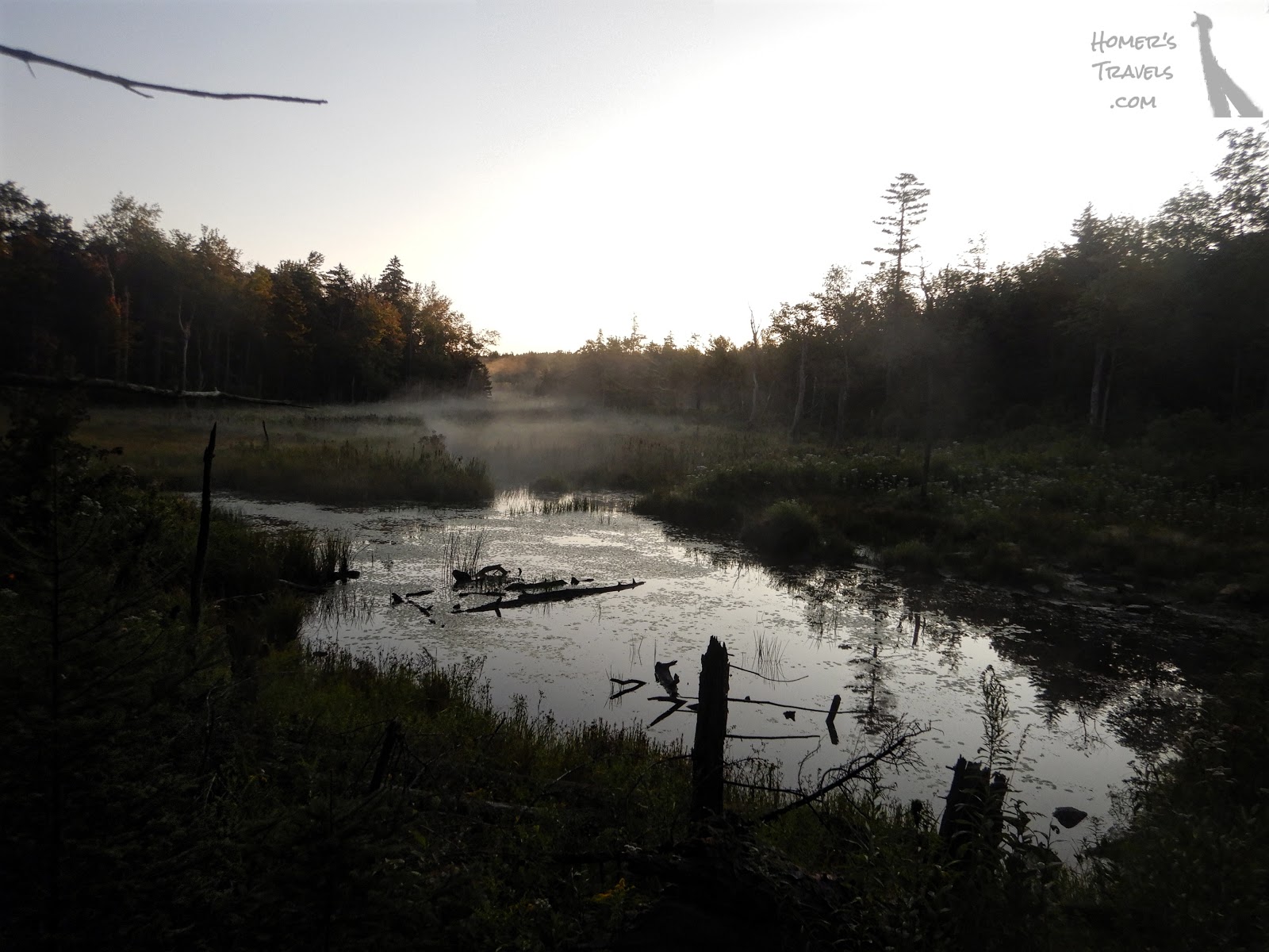 Homer's Travels Appalachian Trail Great Barrington, MA To Bennington, VT