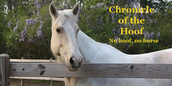 Chronicle of the Hoof