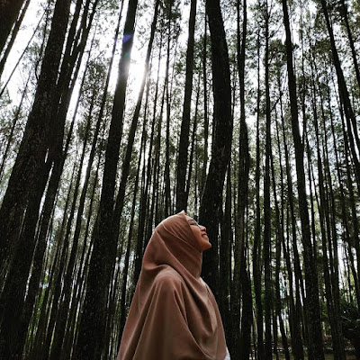 Lokasi Gardu Pandang Pinus Asri Karangasem, Spot Foto Favorit di Jogja