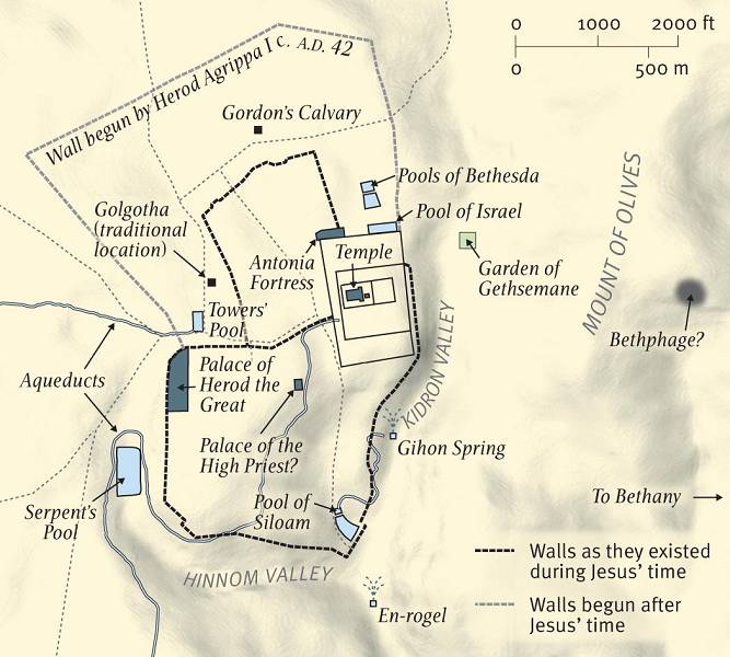 Father's Writings: Palm Sunday: The Sacred Geography of Lent Part VI 