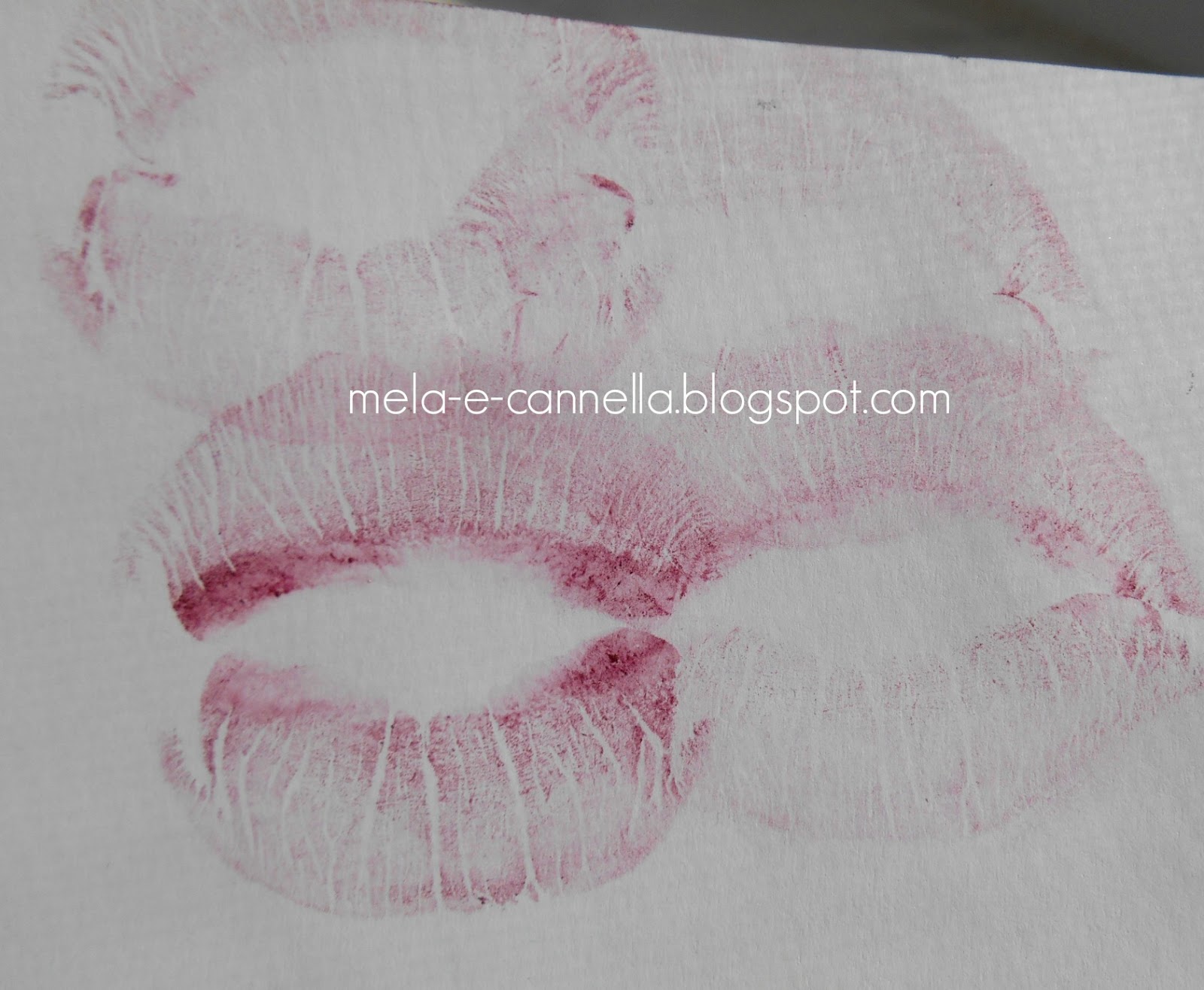 melaecannella Farmasi lip pencil 219