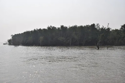 Sundarbans Harbaria from Mongla | Beautiful river 12 photos 4 Sundarban from launch