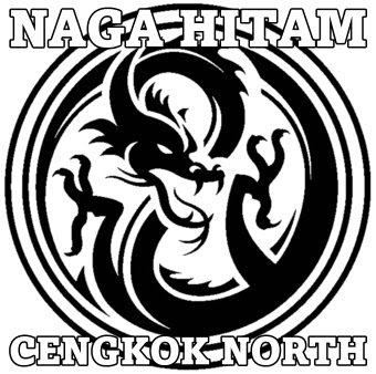  Gambar Gambar Tato Naga Hitam Putih Flash 3d Dragon Tattoo 