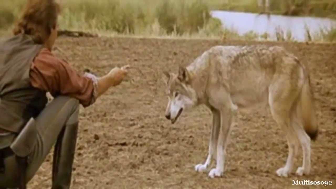 Танцующий волк песня. Кевин Костнер Танцующий с волками. Охота с волками Кевин Костнер.