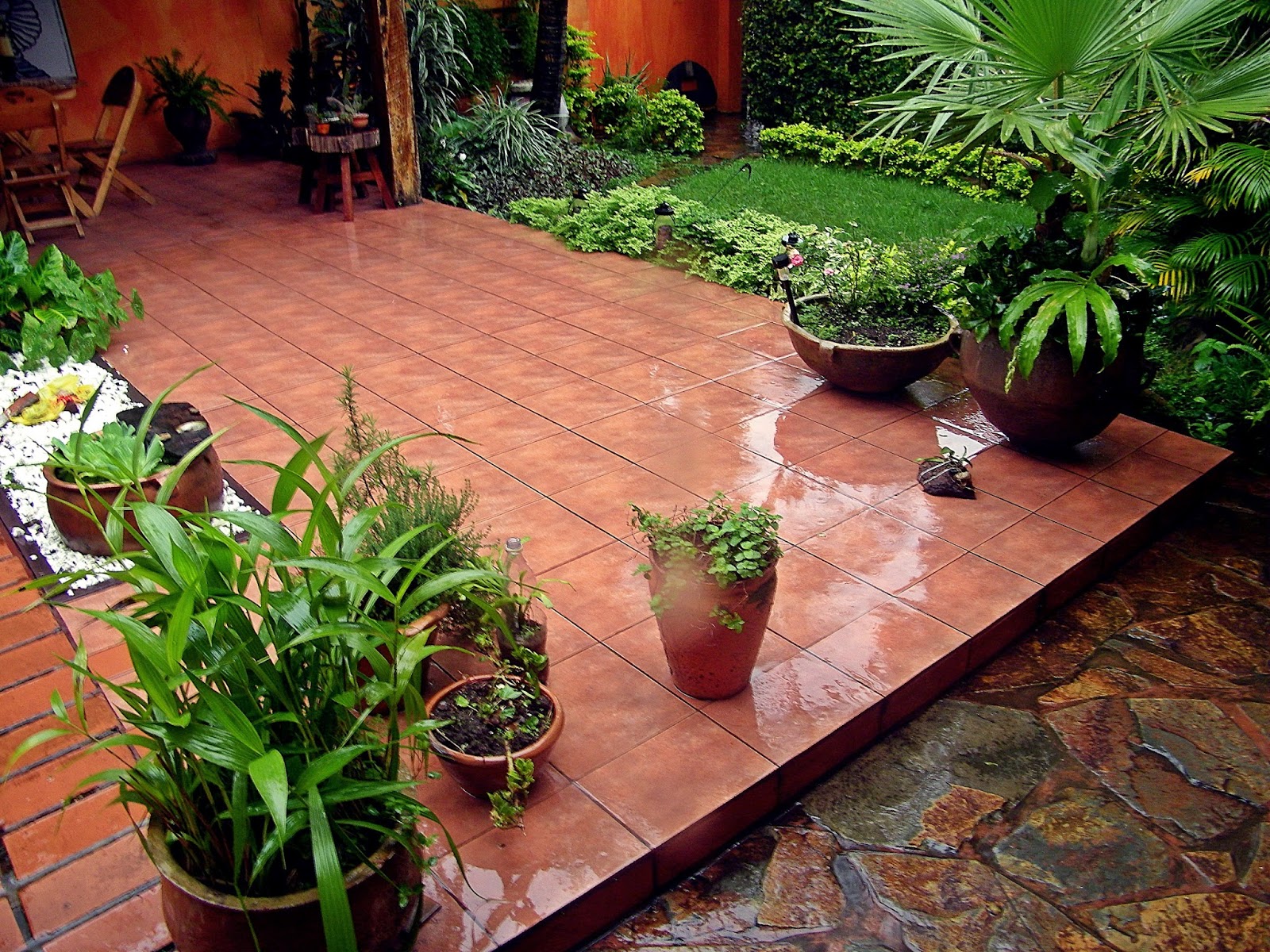 La foto del día El patio de mi casa se moja como los demás