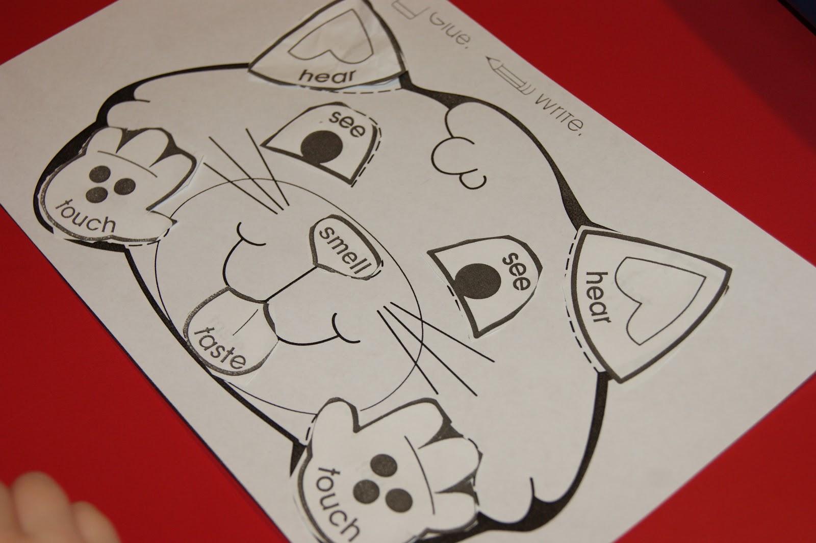 five sense worksheet: NEW 526 FIVE SENSES WORKSHEETS CUT AND PASTE