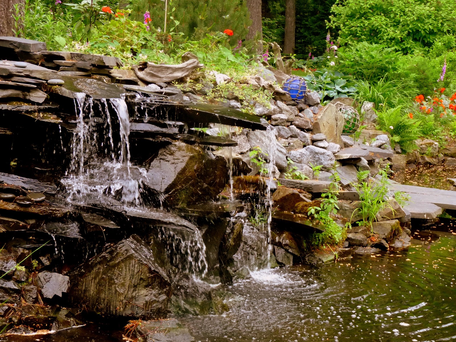 The Retirement Chronicles Revisiting a Late Summer Garden Part TWO