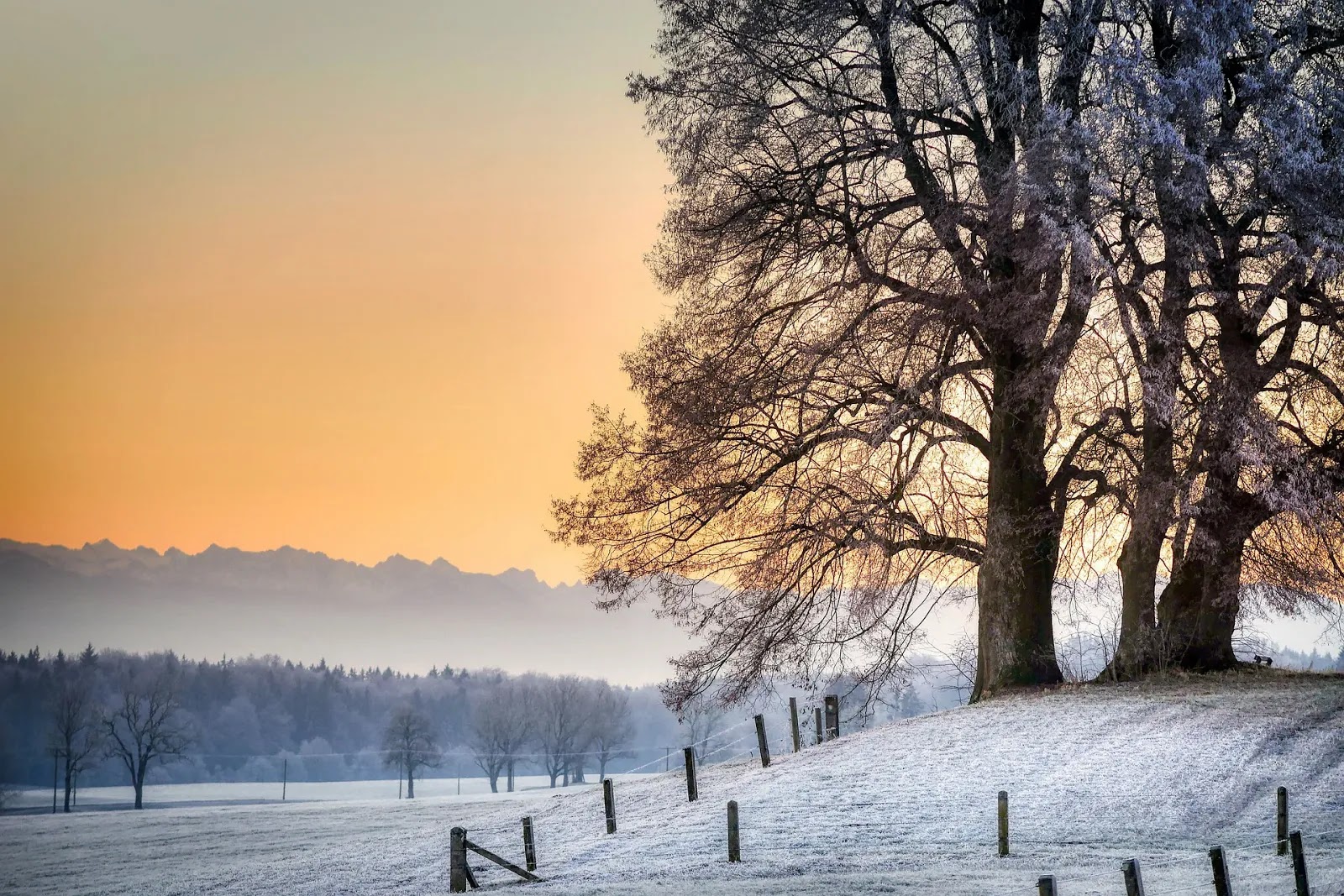 أفضل خلفيات كمبيوتر عالية الدقة