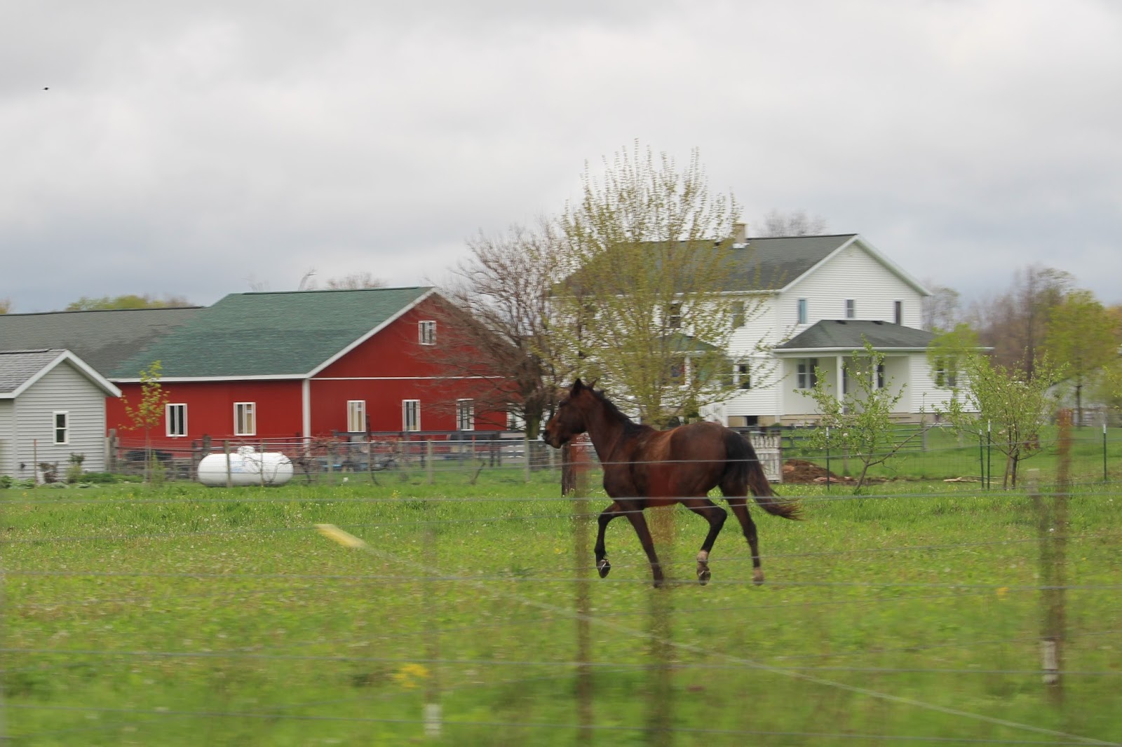 A Study on Amish Farms Beauty Without Within F