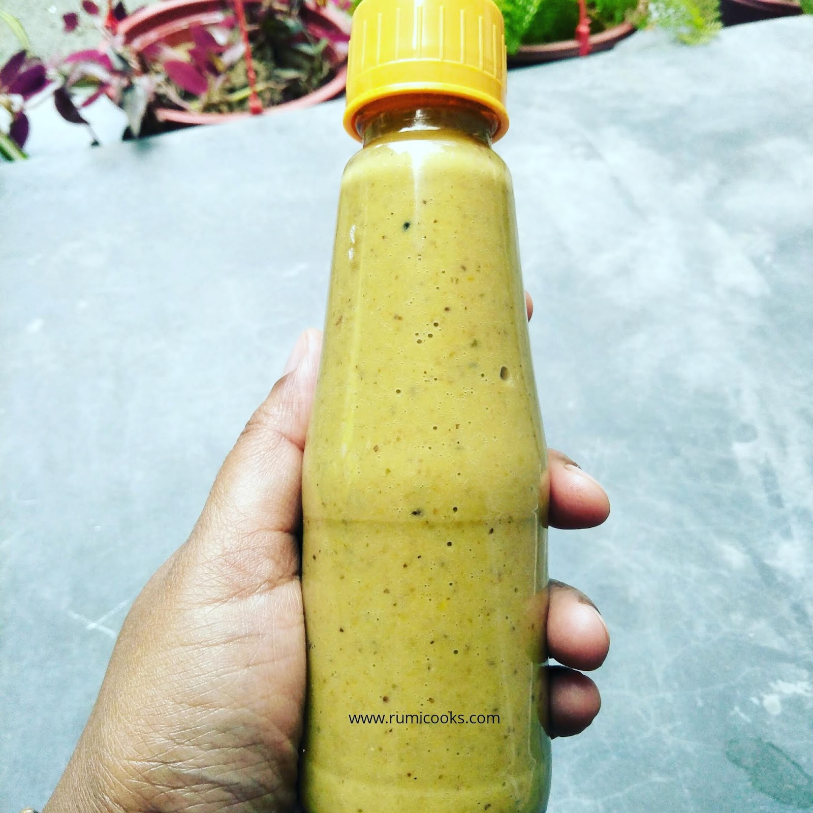 Mustard Sauce Recipe / সৰিয়হৰ চচ
