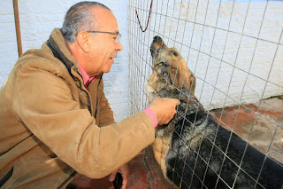 animais, pet, eliseu-padilha